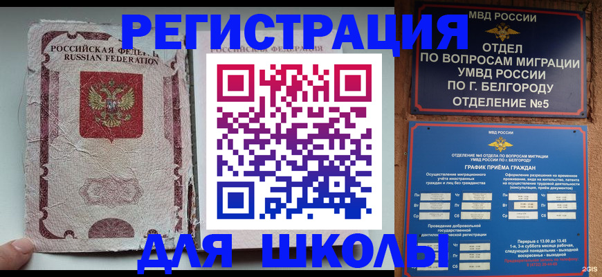 прописка гарантия в Могочи